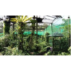 Transfer from Taman Negara to Kuala Lumpur